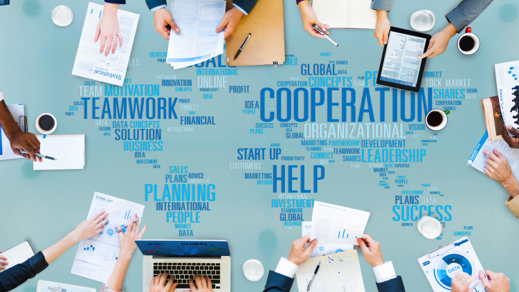 What Do Our Employees Say?